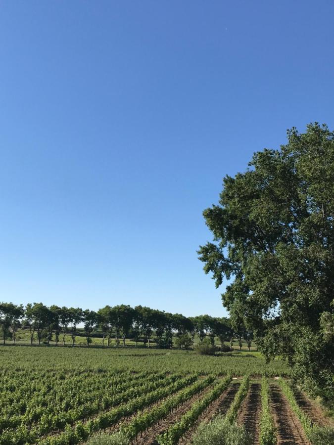Domaine De Peilhan Roujan Exteriér fotografie