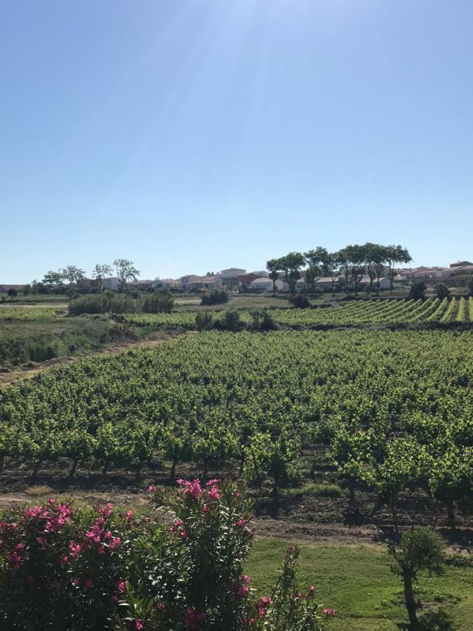 Domaine De Peilhan Roujan Exteriér fotografie